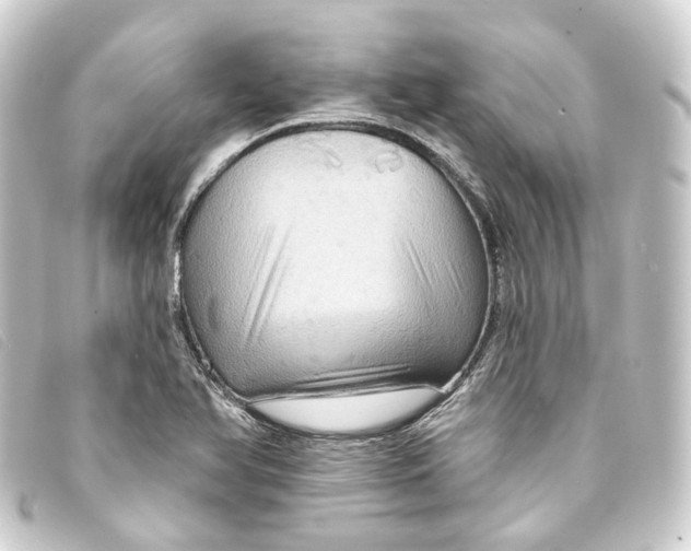 X0000093221366200710241208