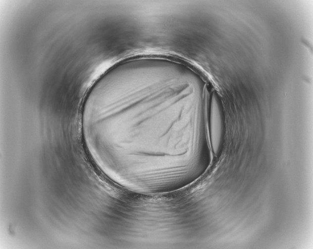 X0000093221367200710241208