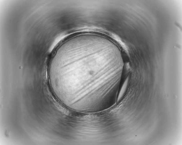 X0000093221368200710241208