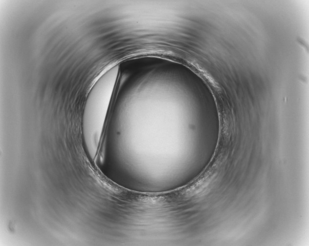 X0000093221369200710241208