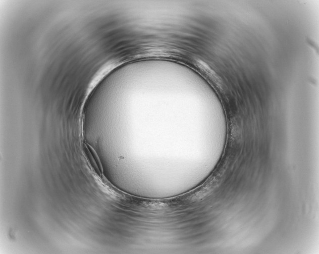 X0000093221370200710241208