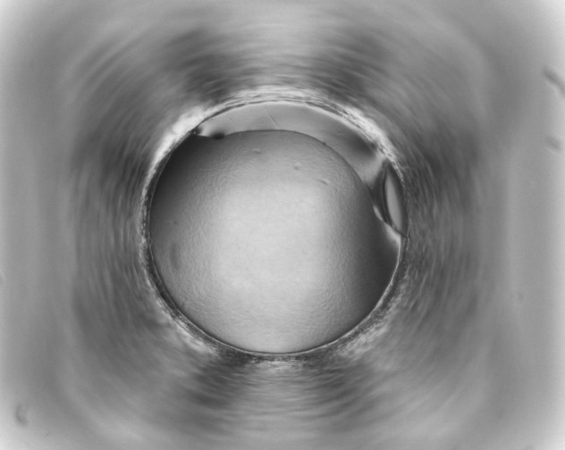 X0000093221373200710241208