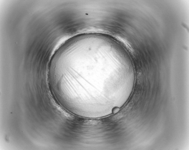 X0000093221374200710241208