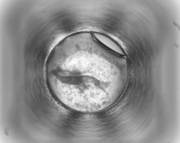 X0000093221375200710241208