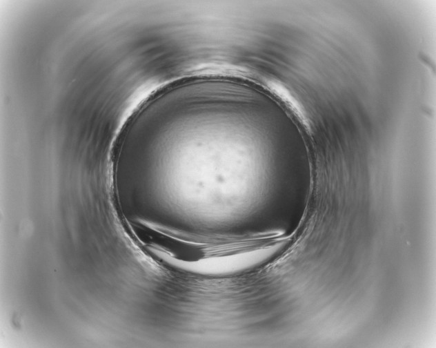 X0000093221376200710241208