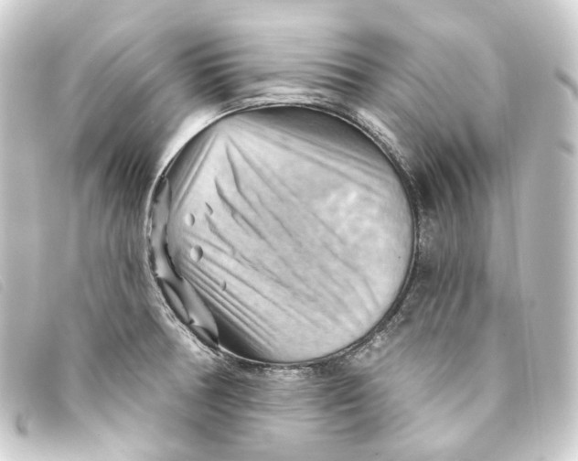 X0000093221378200710241208