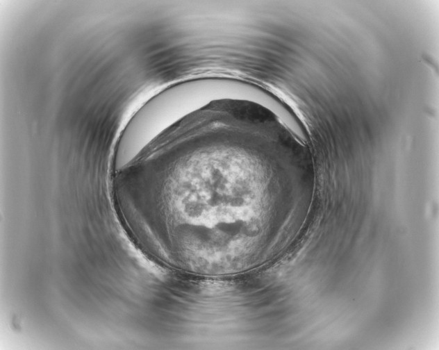 X0000093221379200710241208