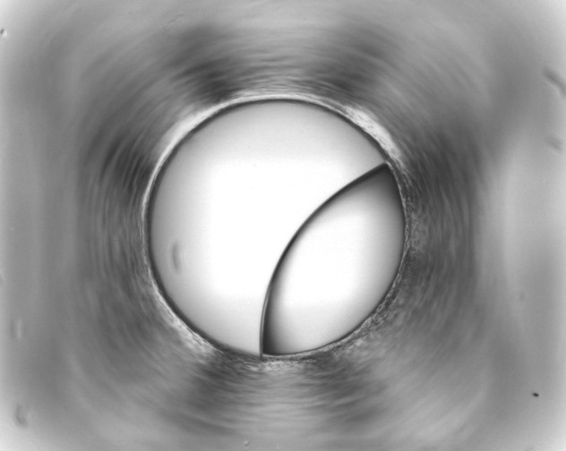 X0000093221380200710241208