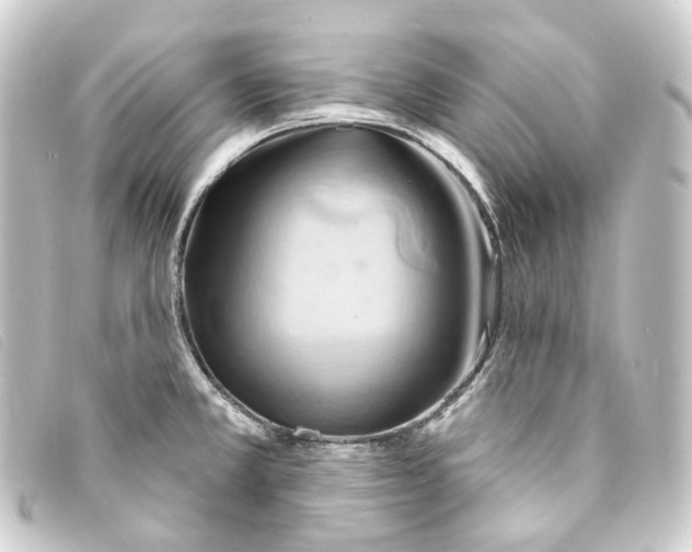 X0000093221381200710241208