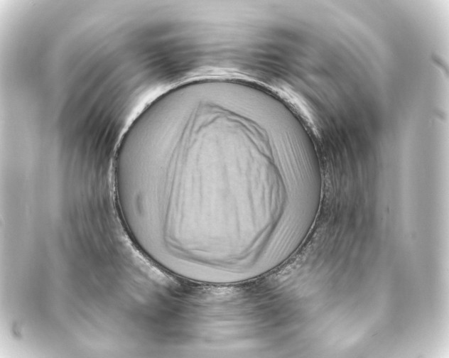 X0000093221382200710241208