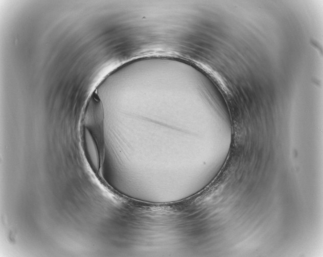 X0000093221383200710241208