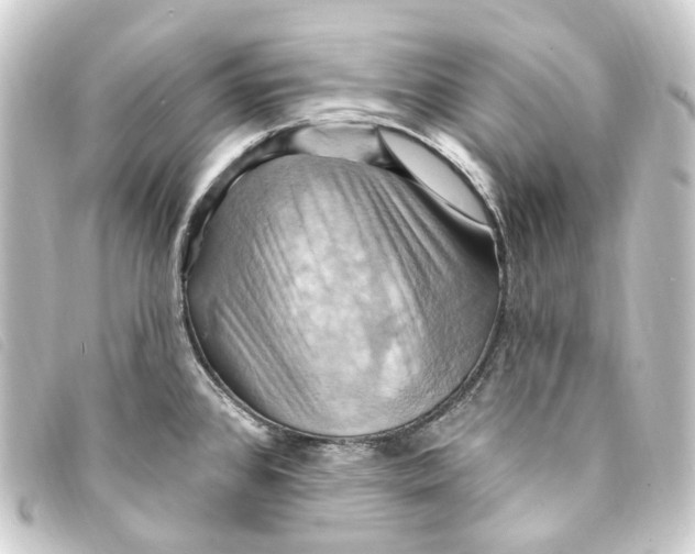 X0000093221384200710241208