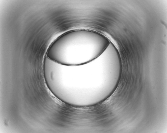 X0000093221388200710241208