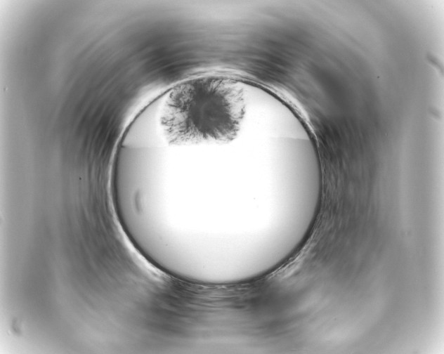 X0000093221391200710241208