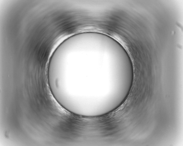 X0000093221392200710241208