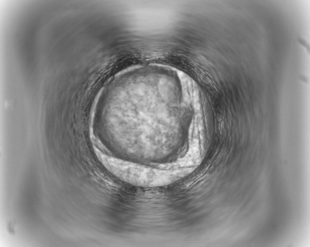 X0000093221393200710241208