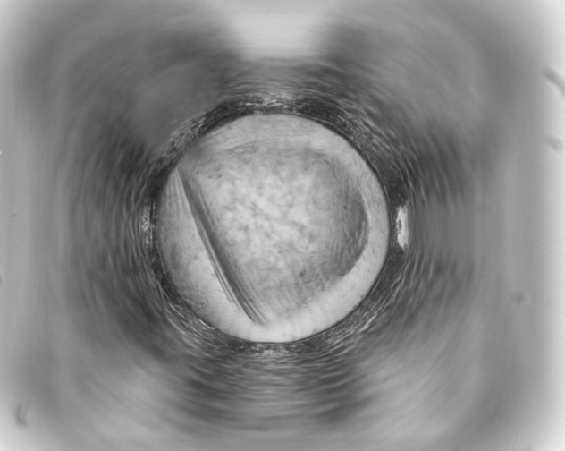 X0000093221395200710241208