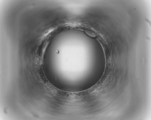 X0000093221398200710241208