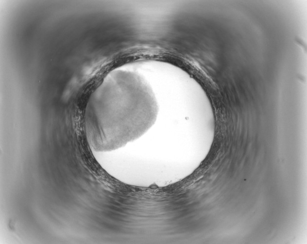 X0000093221399200710241208