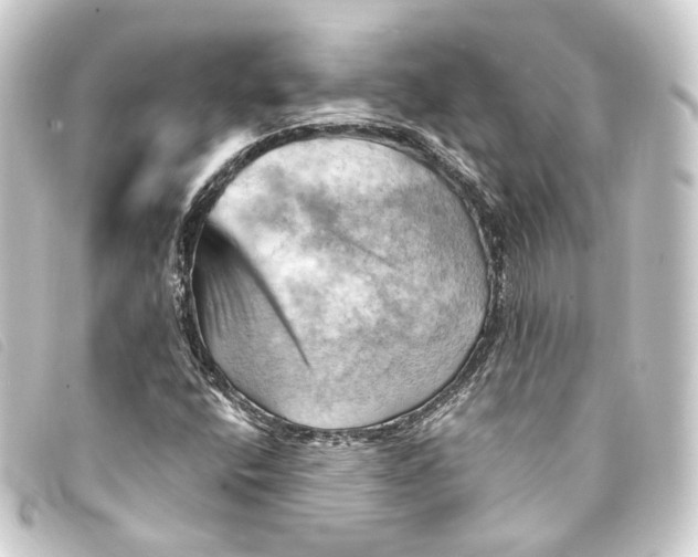 X0000093221400200710241208