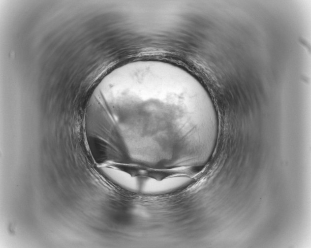 X0000093221401200710241208