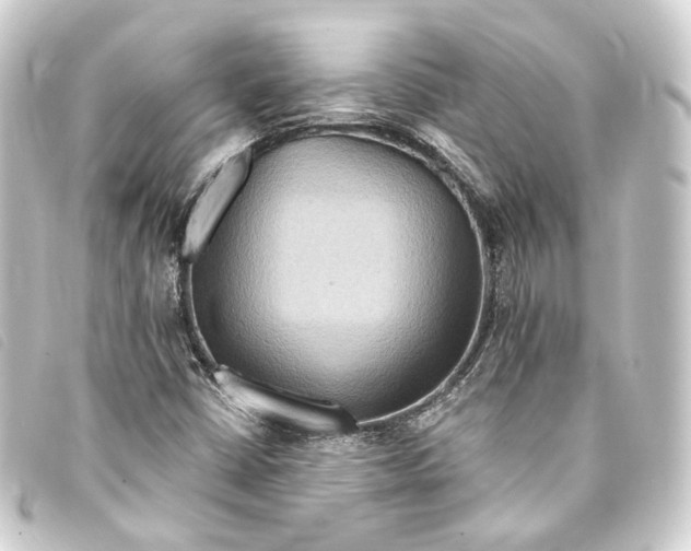 X0000093221402200710241208