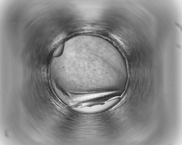 X0000093221403200710241208