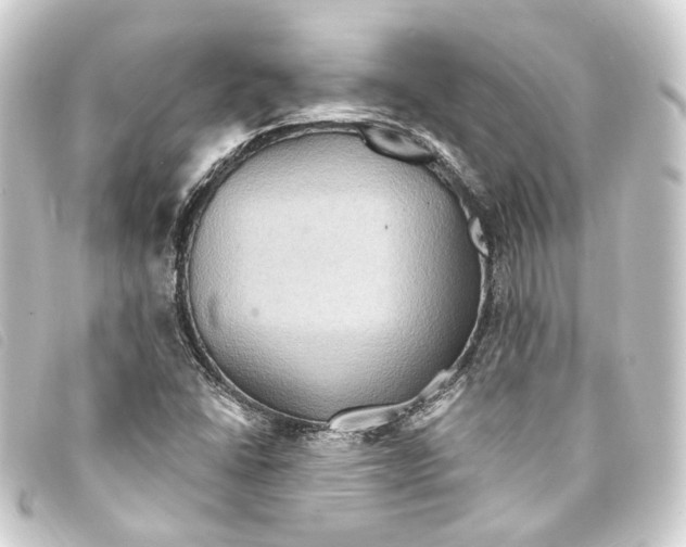 X0000093221406200710241208