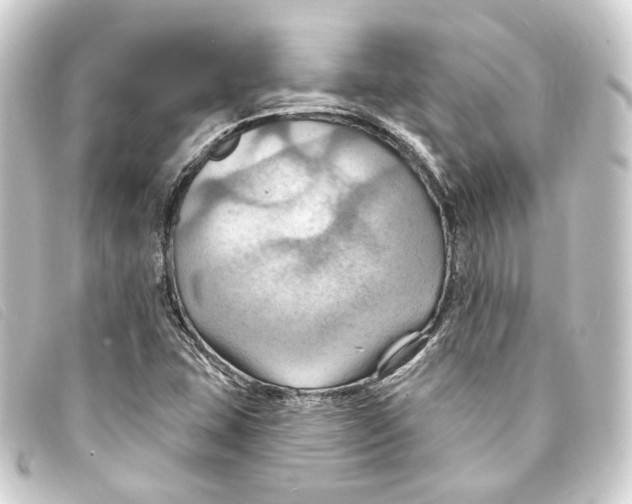 X0000093221407200710241208