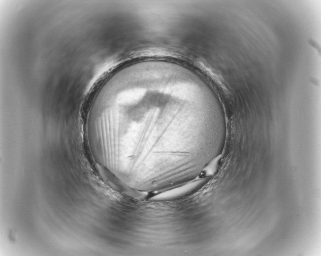 X0000093221408200710241208