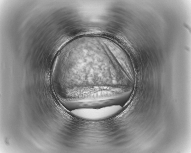 X0000093221409200710241208