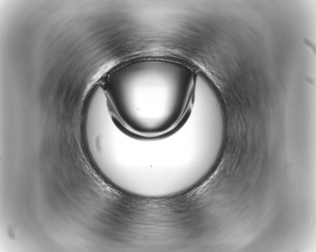 X0000093221410200710241208