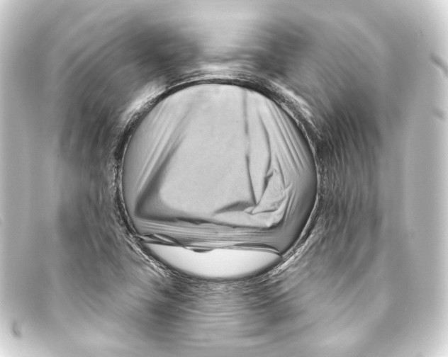 X0000093221411200710241208