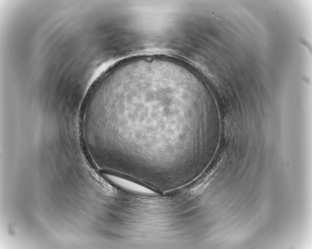 X0000093221412200710241208