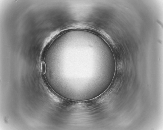 X0000093221414200710241208