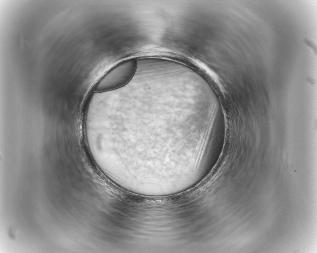 X0000093221415200710241208