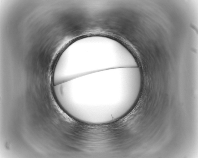 X0000093221416200710241208