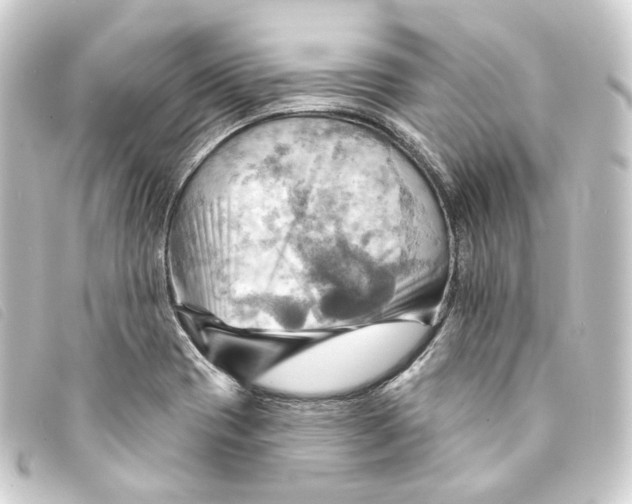 X0000093221417200710241208