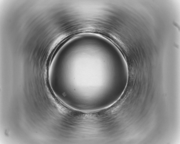 X0000093221418200710241208