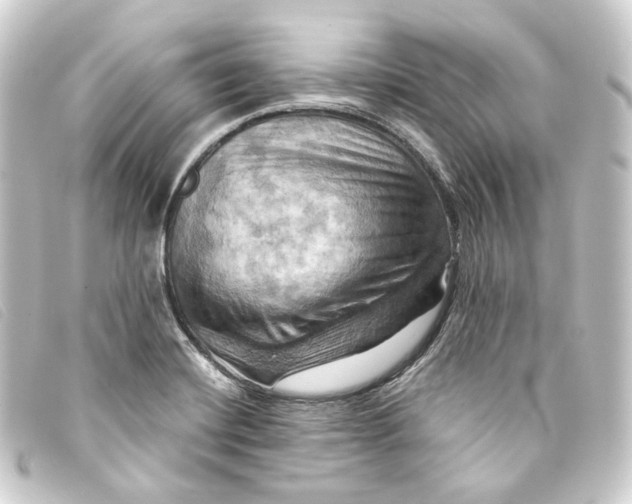 X0000093221420200710241208