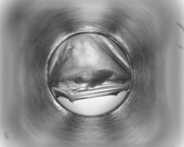 X0000093221421200710241208