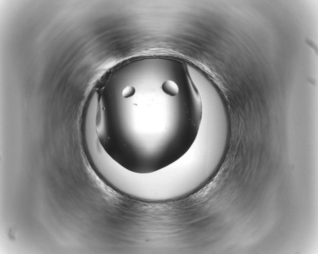 X0000093221422200710241208