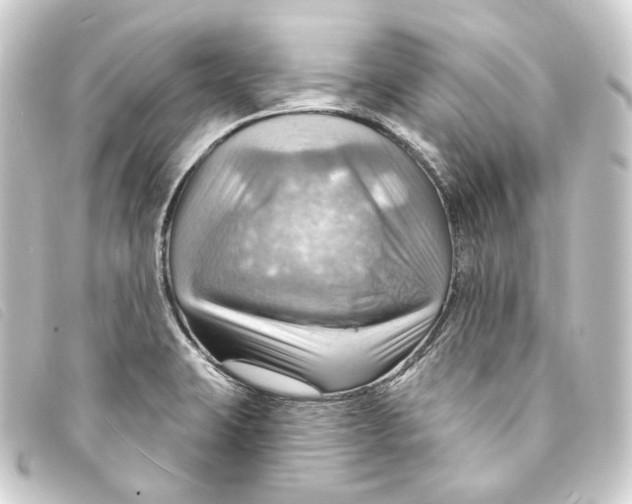 X0000093221423200710241208