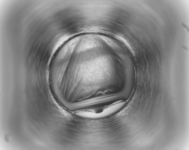 X0000093221424200710241208