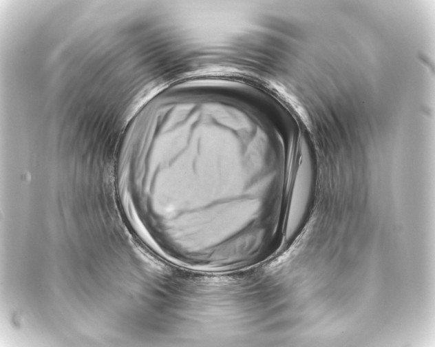 X0000093221425200710241208