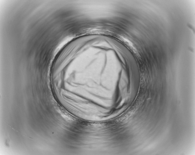 X0000093221427200710241208