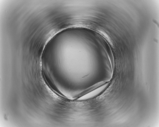 X0000093221428200710241208