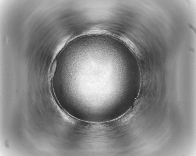 X0000093221430200710241208