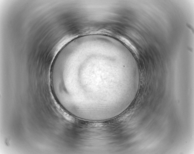 X0000093221431200710241208