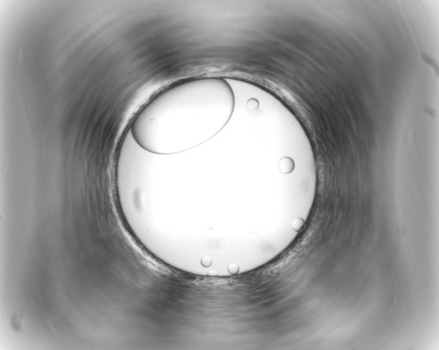 X0000093221432200710241208